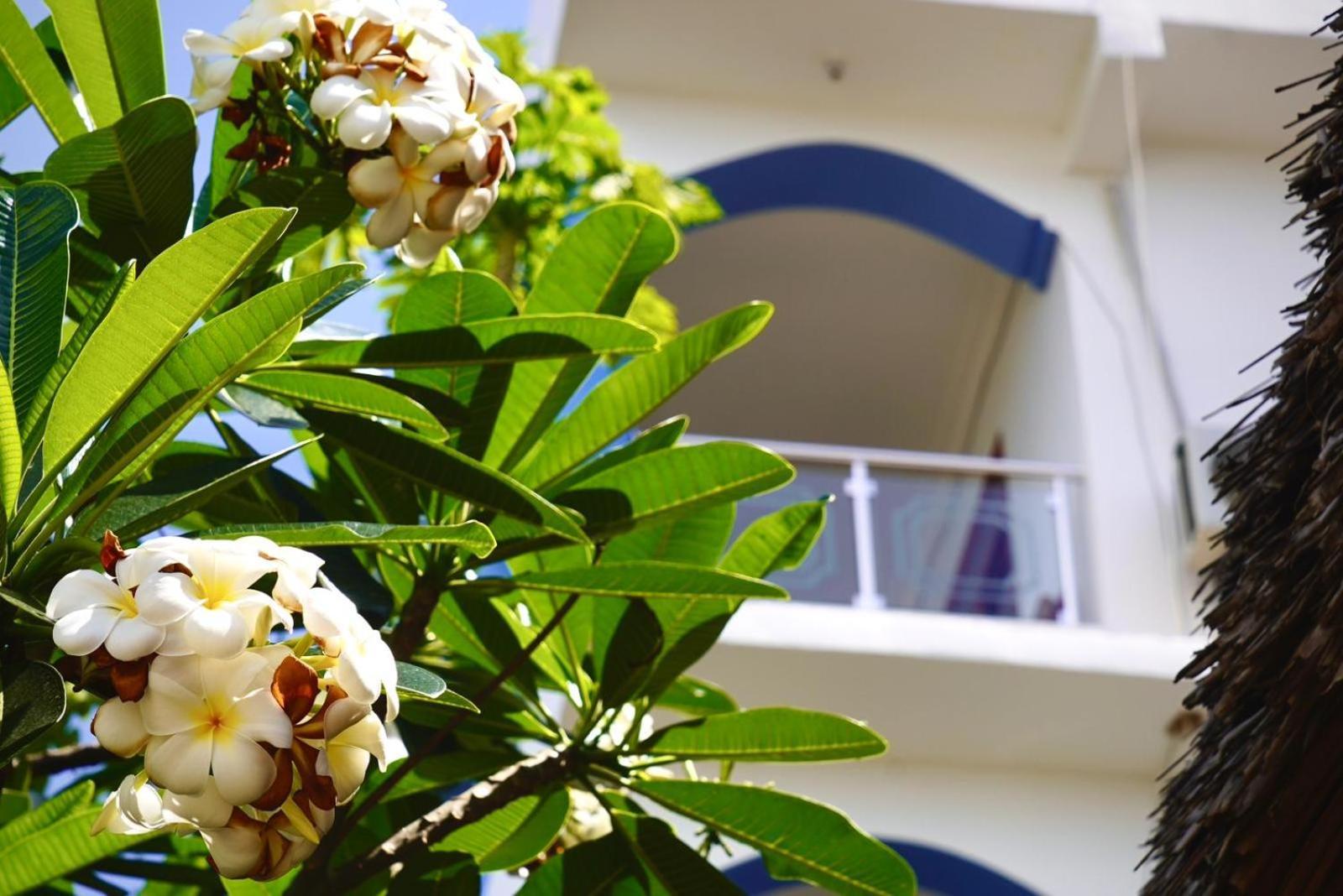 Daeli Apartment Kendwa Exterior photo